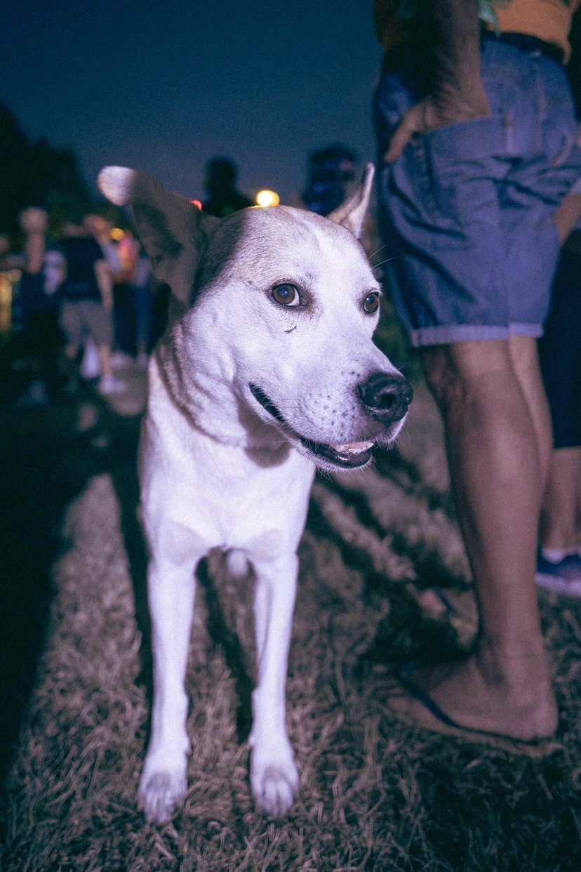_DSF0047.jpg